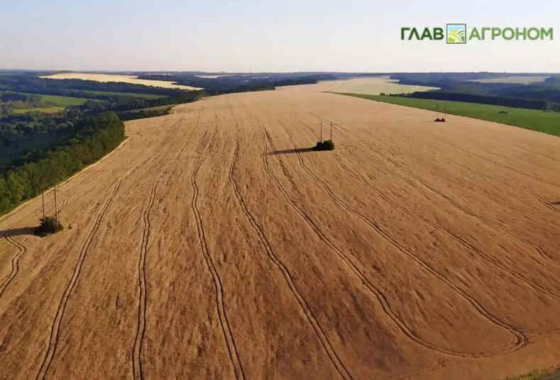 ГЛОНАСС начинает цифровизацию сельхозземель России